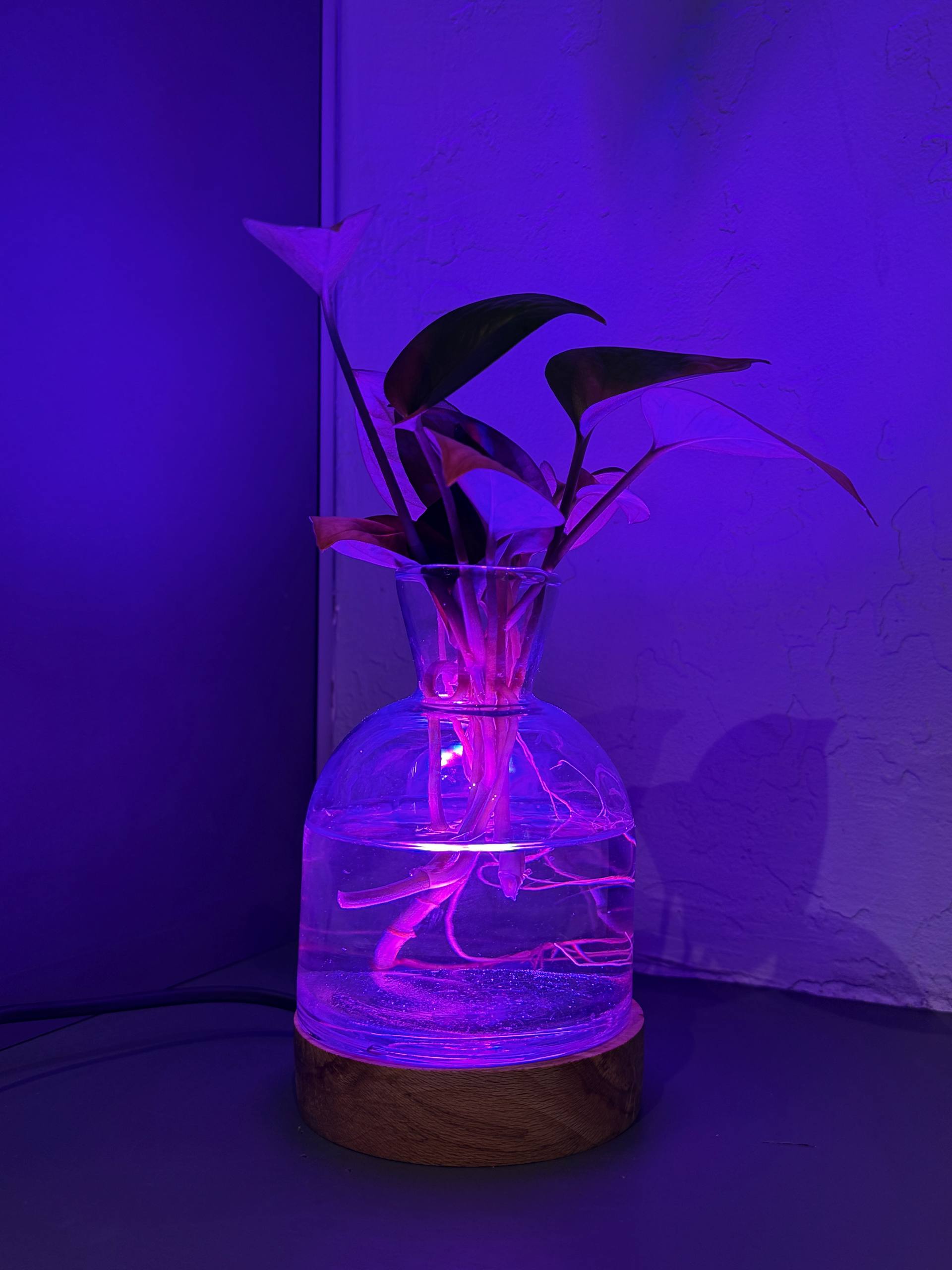 چراغ خواب گلدان دار - تصویر 2