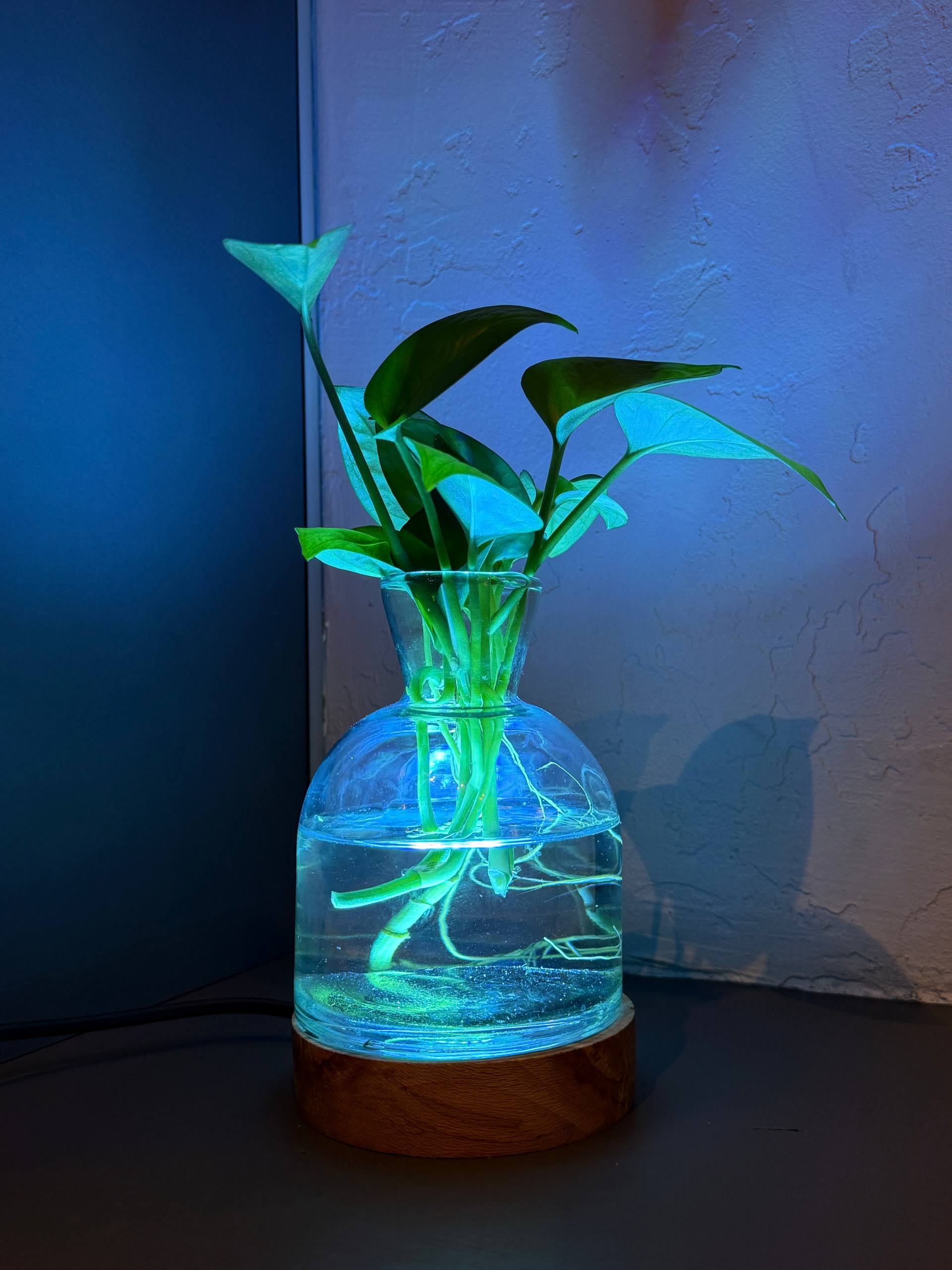 چراغ خواب گلدان دار - تصویر 3