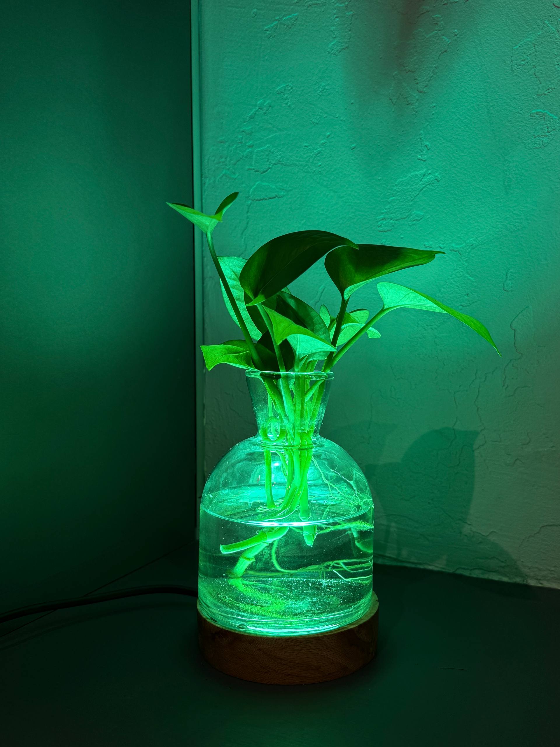 چراغ خواب گلدان دار - تصویر 6