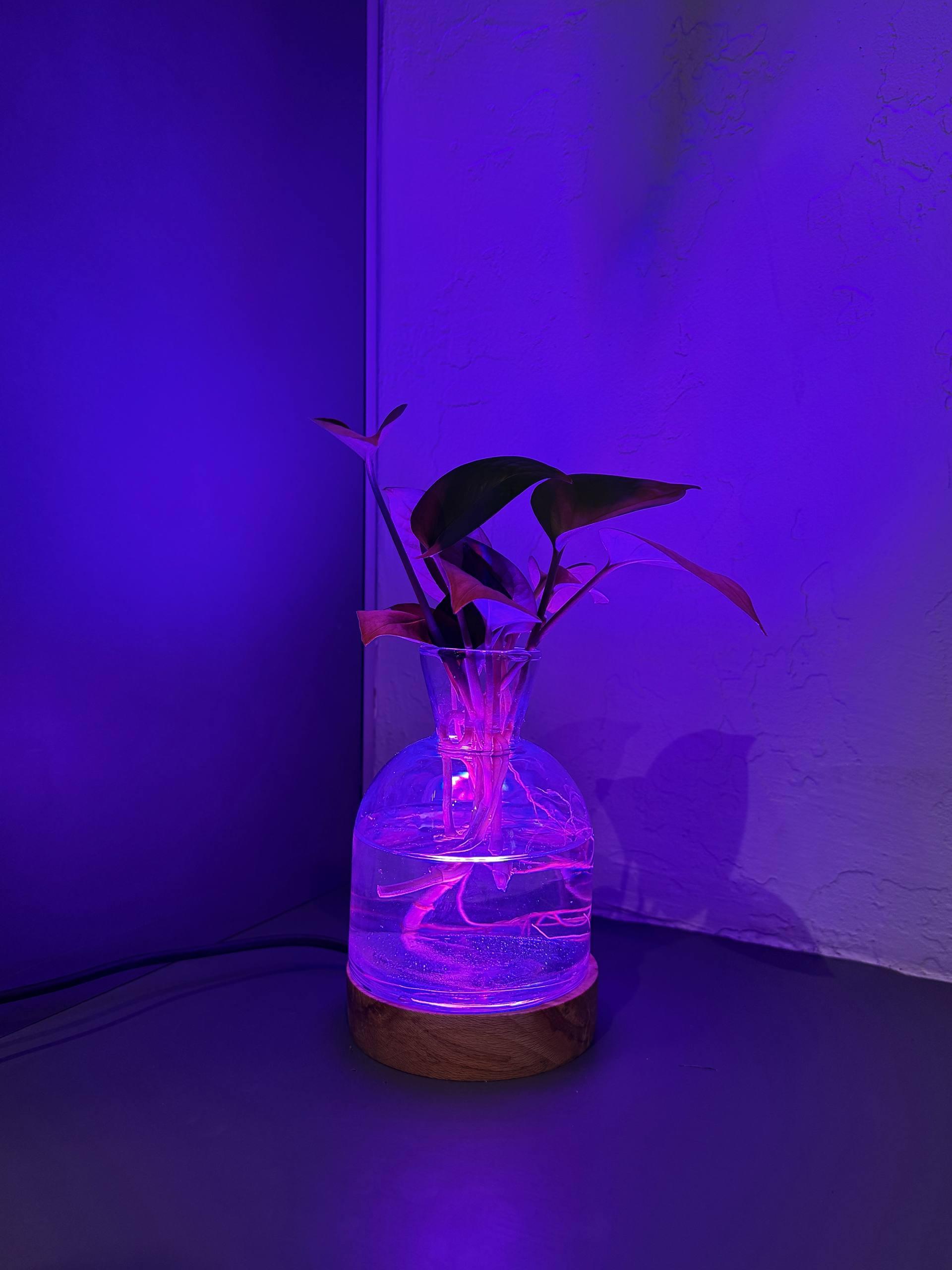 چراغ خواب گلدان دار - تصویر 7