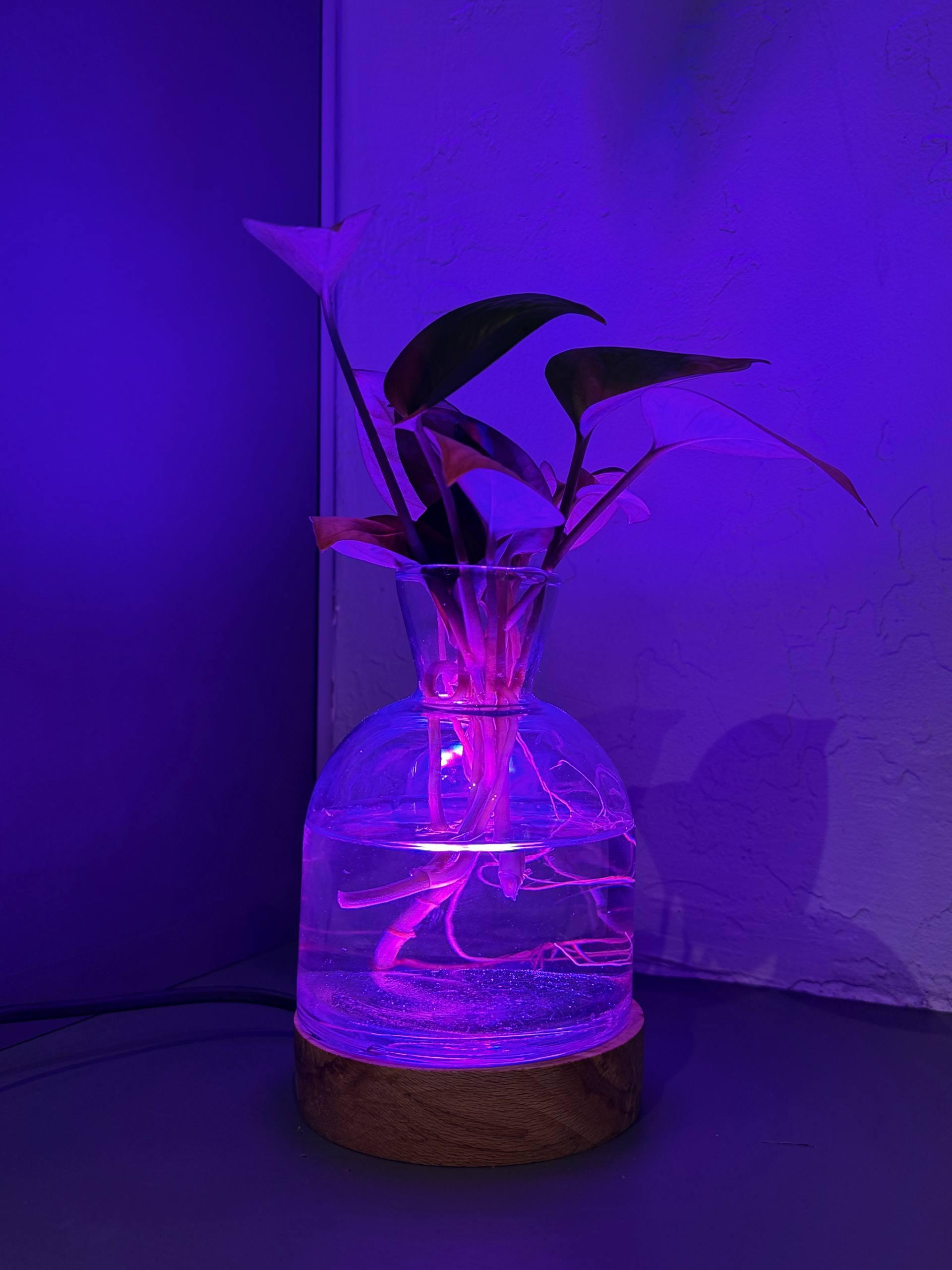 چراغ خواب گلدان دار - تصویر 2