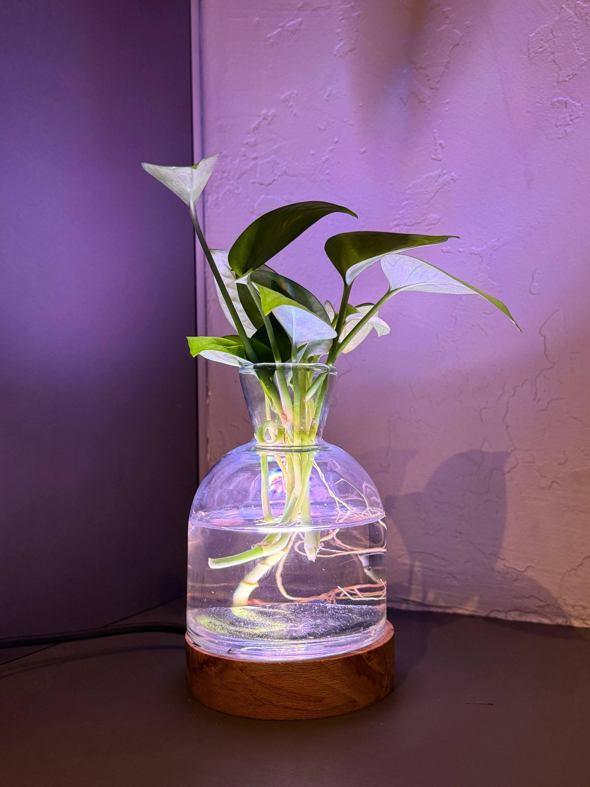 چراغ خواب گلدان دار - تصویر 4