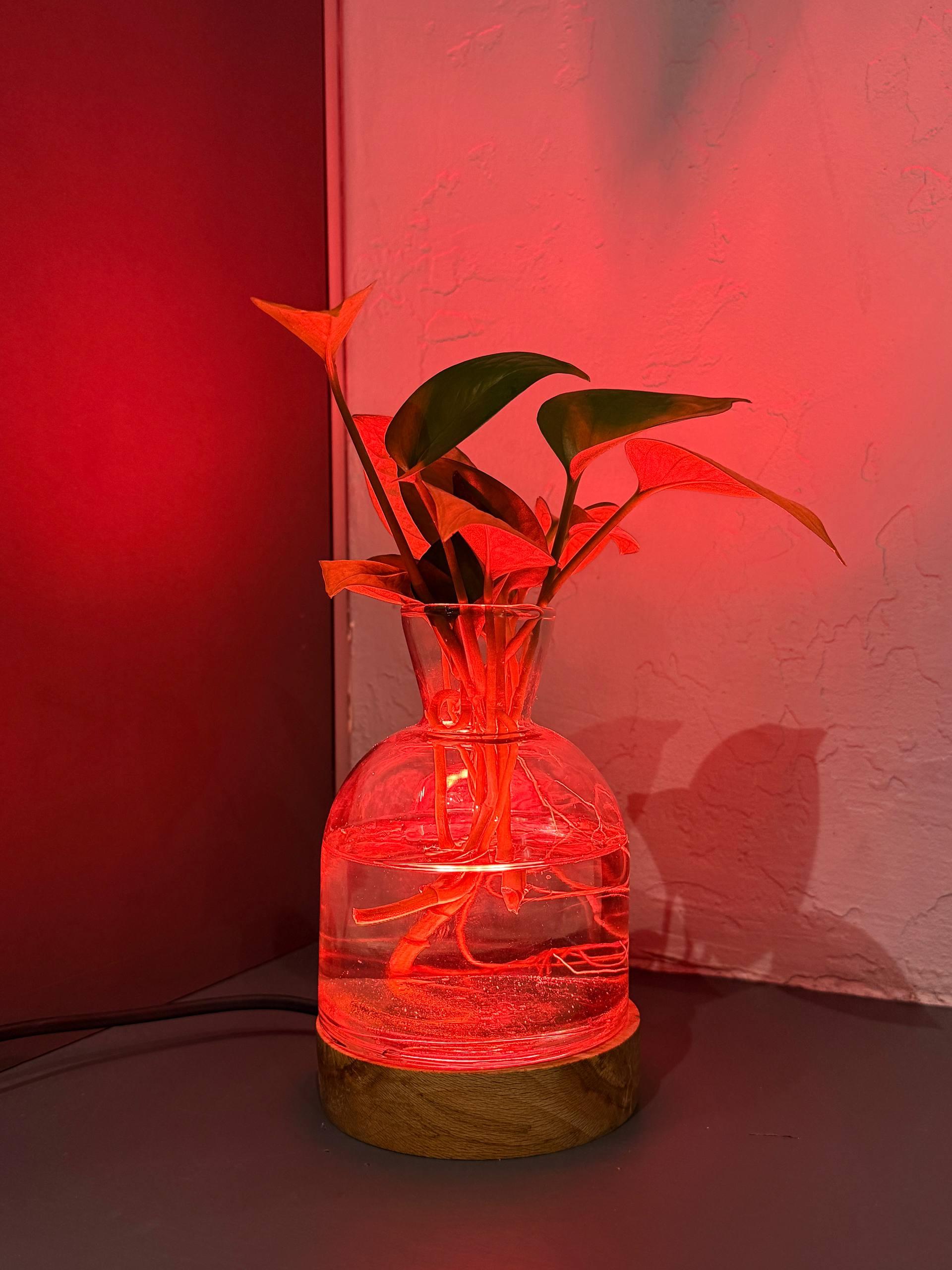 چراغ خواب گلدان دار - تصویر 5